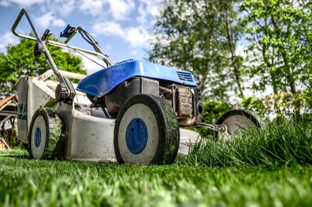 blue and grey lawn mower on a lawn